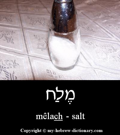 Salt in Hebrew
