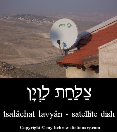 Satellite Dish in Hebrew