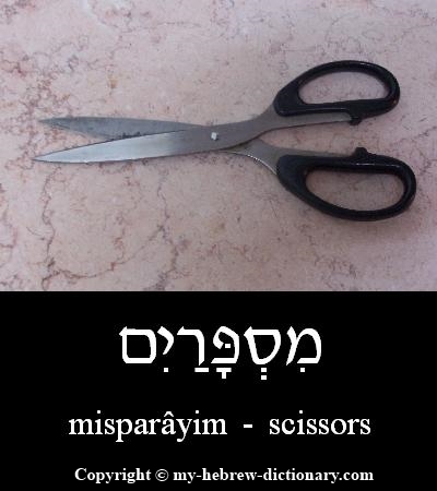 Scissors in Hebrew