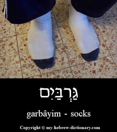 Socks in Hebrew