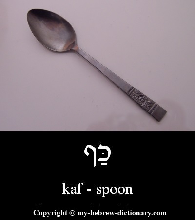 Spoon in Hebrew