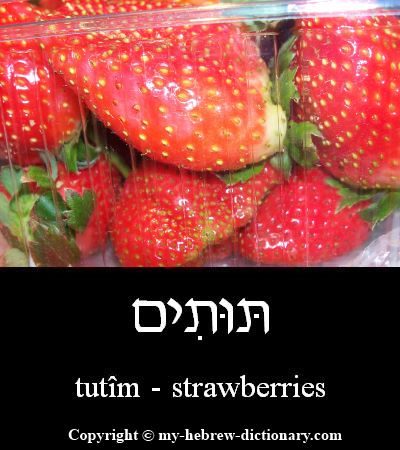 Strawberries in Hebrew