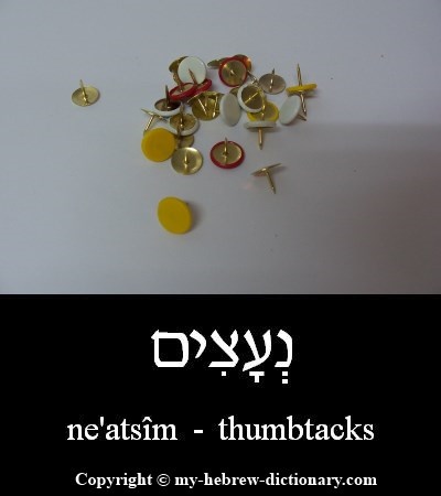 Thumbtacks in Hebrew