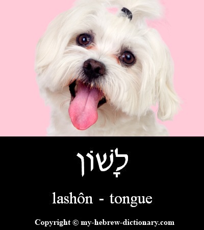Tongue in Hebrew