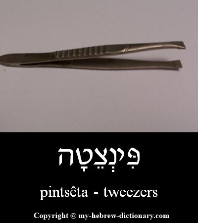 Tweezers in Hebrew