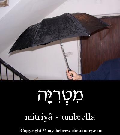 Umbrella in Hebrew
