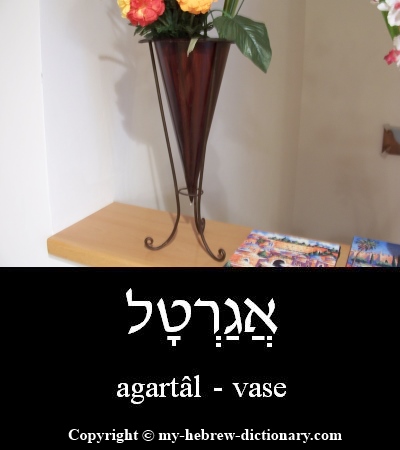 Vase in Hebrew
