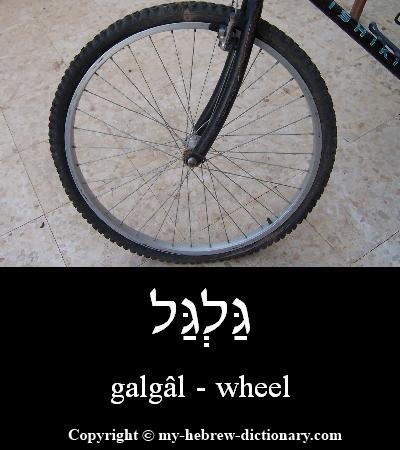 Wheel in Hebrew