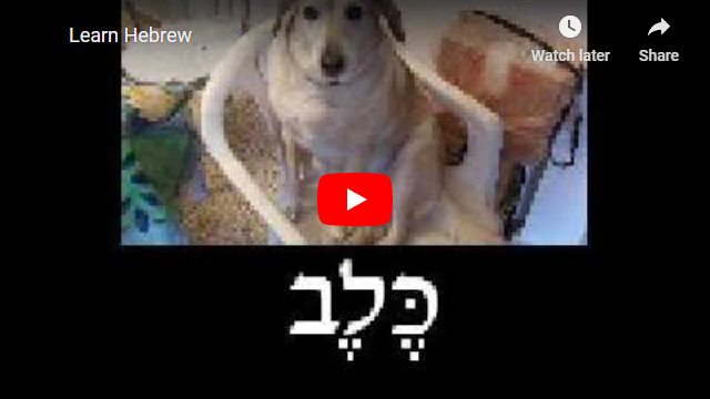 Learn Hebrew Videos